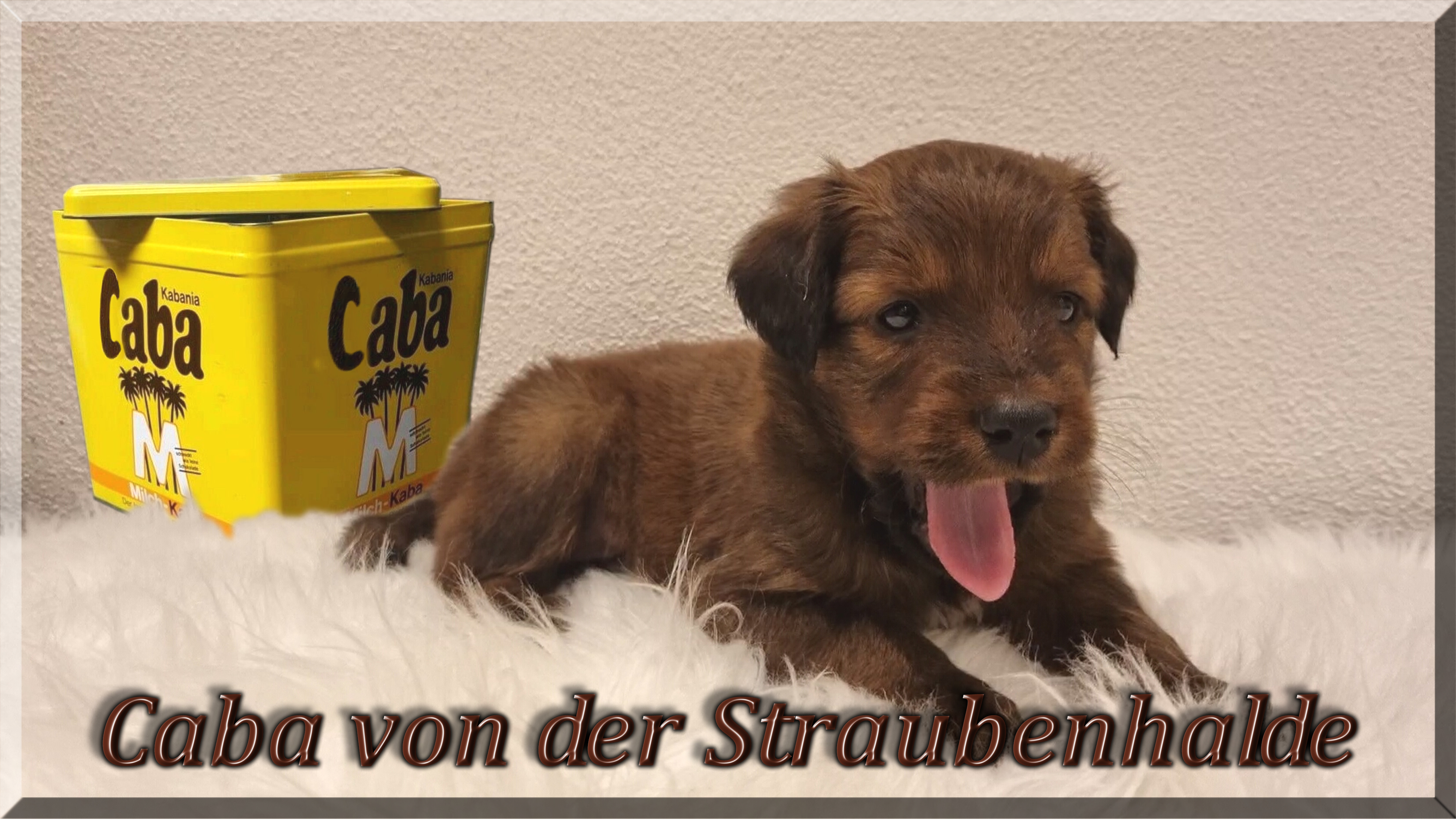 Wäller von der Straubenhalde